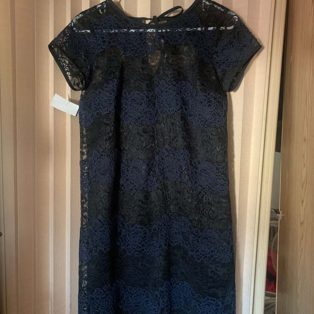 Ann Taylor LOFT Navy Blue and Black Lace Dress